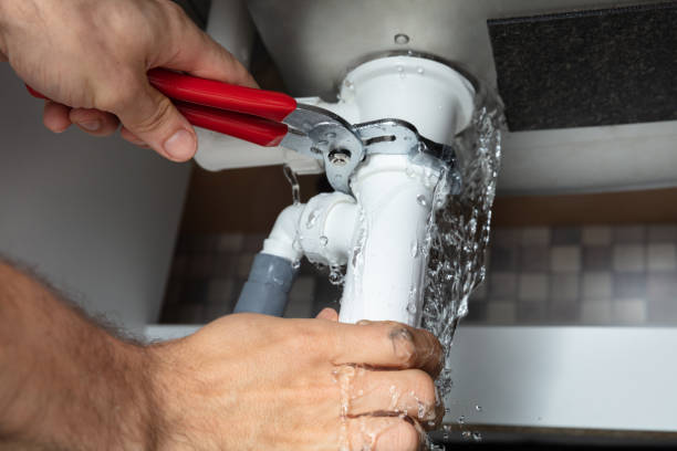 Best Water damage cleanup near me  in Cottonwood Heights, UT