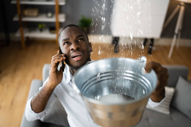 Best Water damage restoration near me  in Cottonwood Heights, UT