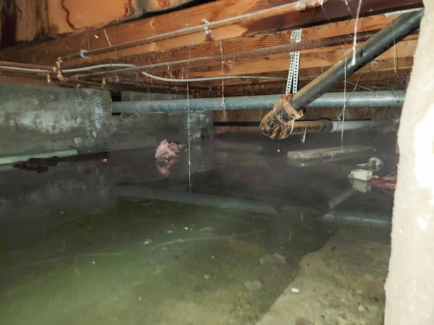 Water damage restoration insurance claims in Cottonwood Heights, UT