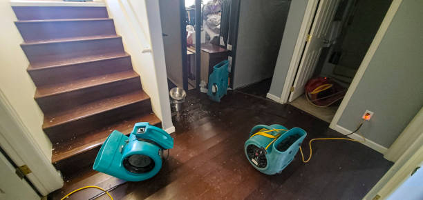 Best Emergency water extraction  in Cottonwood Heights, UT