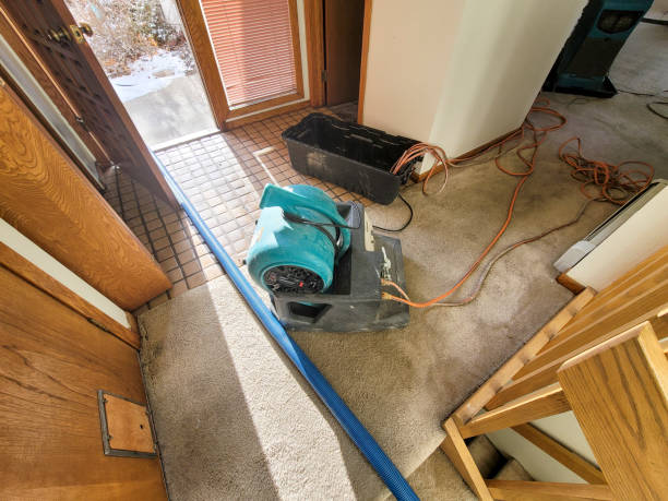Best 24/7 water damage repair  in Cottonwood Heights, UT