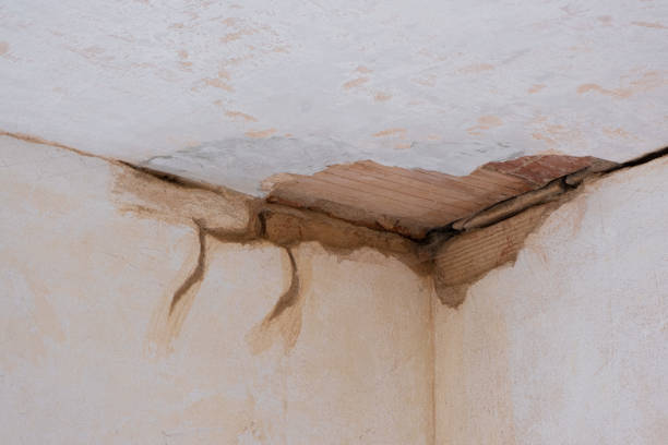 Best Carpet water damage restoration  in Cottonwood Heights, UT