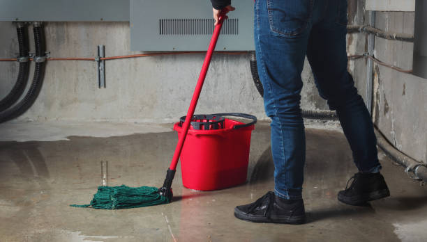 Best Flood restoration services  in Cottonwood Heights, UT