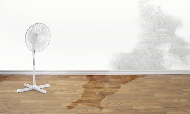  Cottonwood Heights, UT Water damage restoration Pros