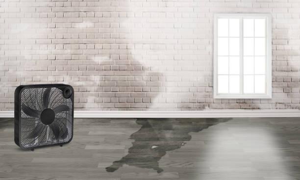 Best Fire Damage Restoration  in Cottonwood Heights, UT