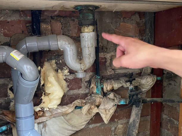 Water damage restoration mold remediation in Cottonwood Heights, UT