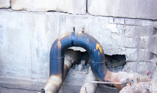 Best Carpet water damage restoration  in Cottonwood Heights, UT