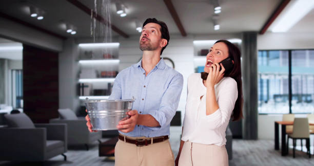 Best Fire Damage Restoration  in Cottonwood Heights, UT