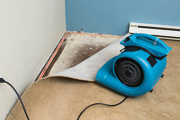 Best Commercial water damage restoration  in Cottonwood Heights, UT